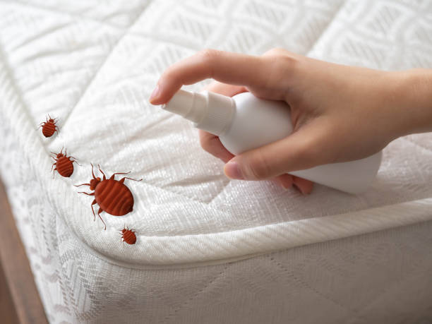 Best Real Estate Pest Inspections  in Live Oak, FL